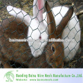 Hexagonal Hole Wire Mesh Mainly for Rabbit cages